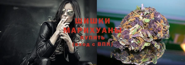 мдпв Бугульма